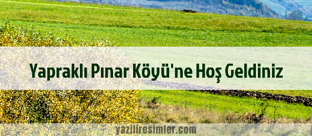 Yapraklı Pınar Köyü'ne Hoş Geldiniz